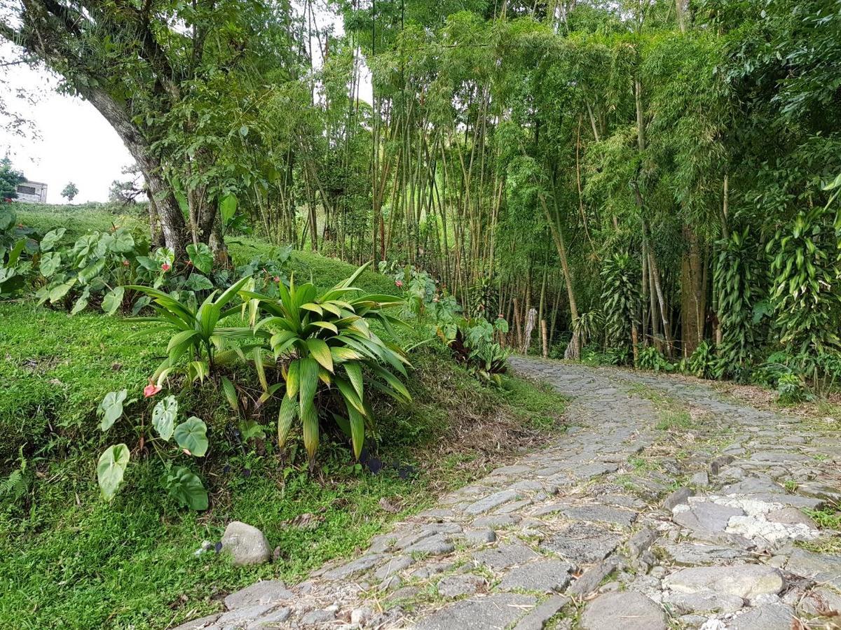 Lodge Paraiso Verde La Linda Εξωτερικό φωτογραφία